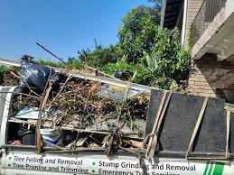 Best Shed Removal  in Pioneer Village, KY